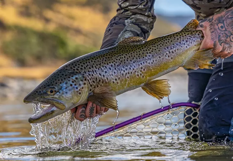 beginner freshwater fishing