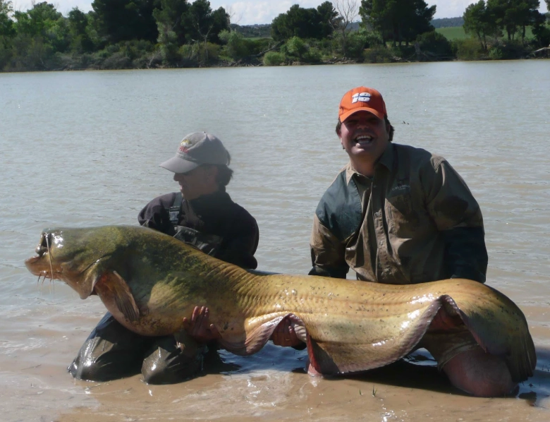 how to catch catfish how to catch catfish