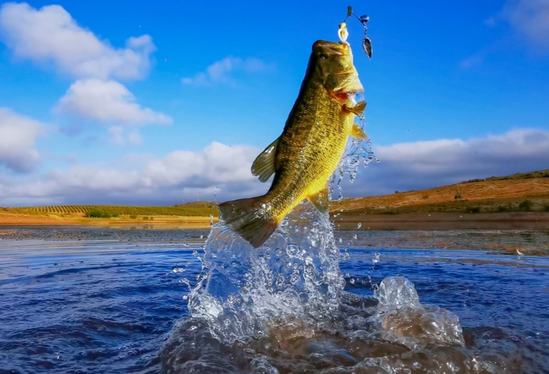 best bass lures