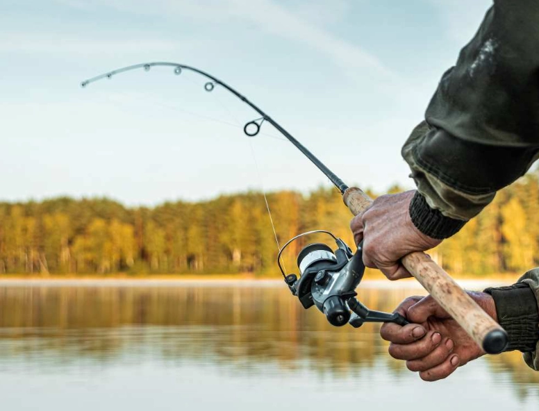 beginner freshwater fishing