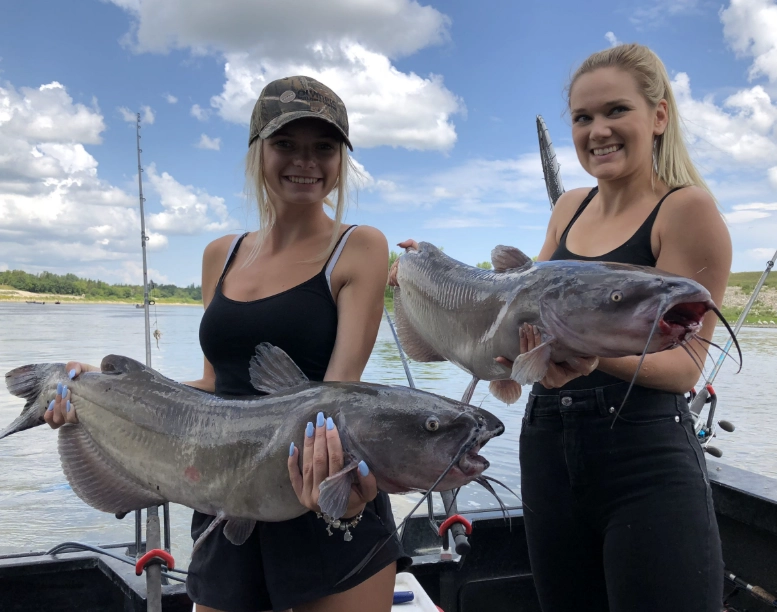 best catfish bait best catfish bait