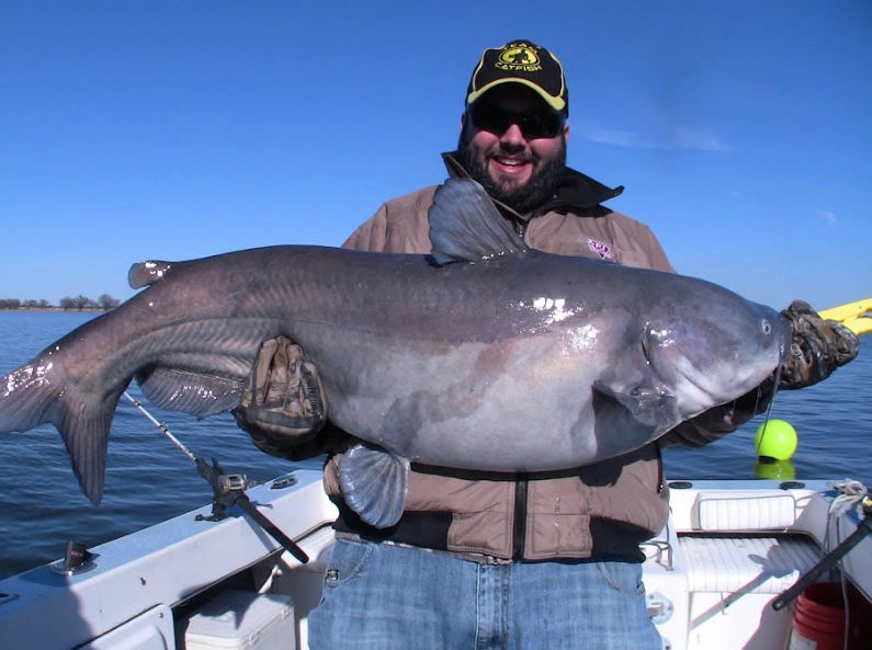 catfish fishing tips catfish fishing tips