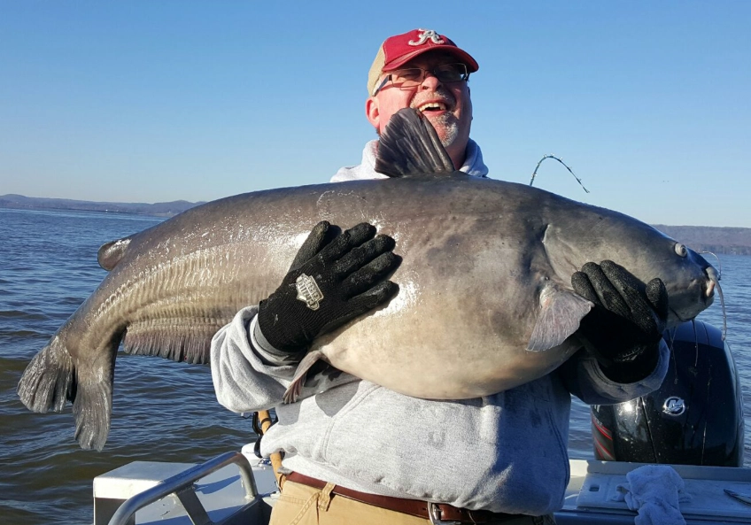 best catfish bait best catfish bait