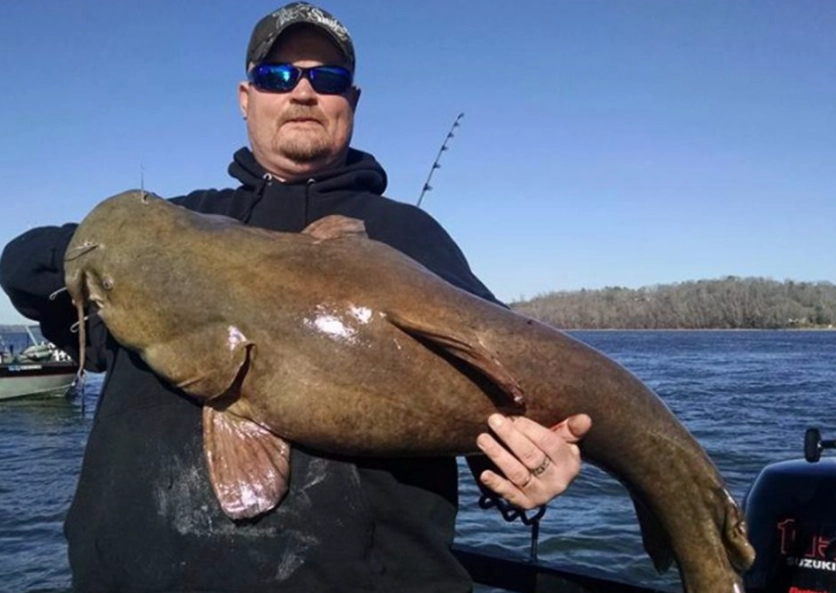 catfish fishing tips catfish fishing tips