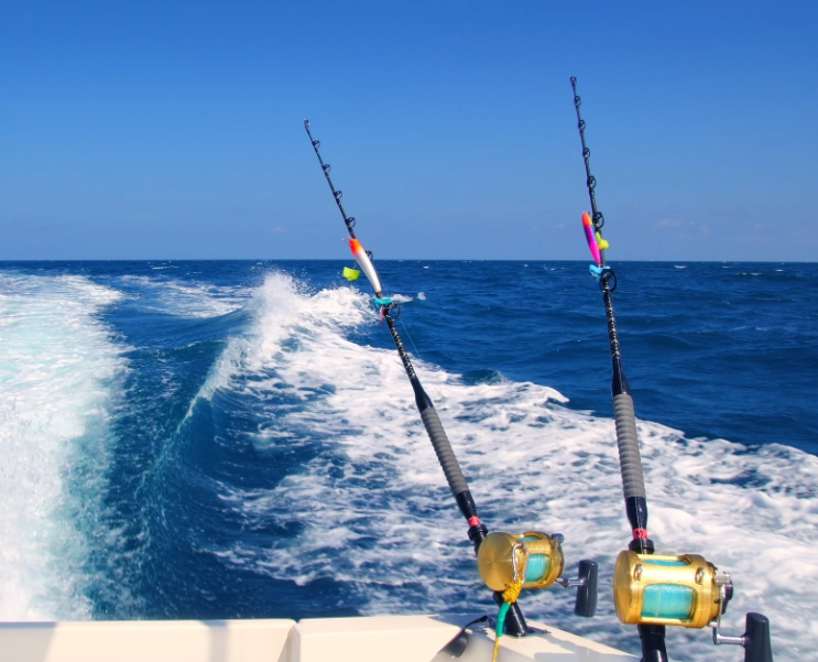 deep sea fishing charters