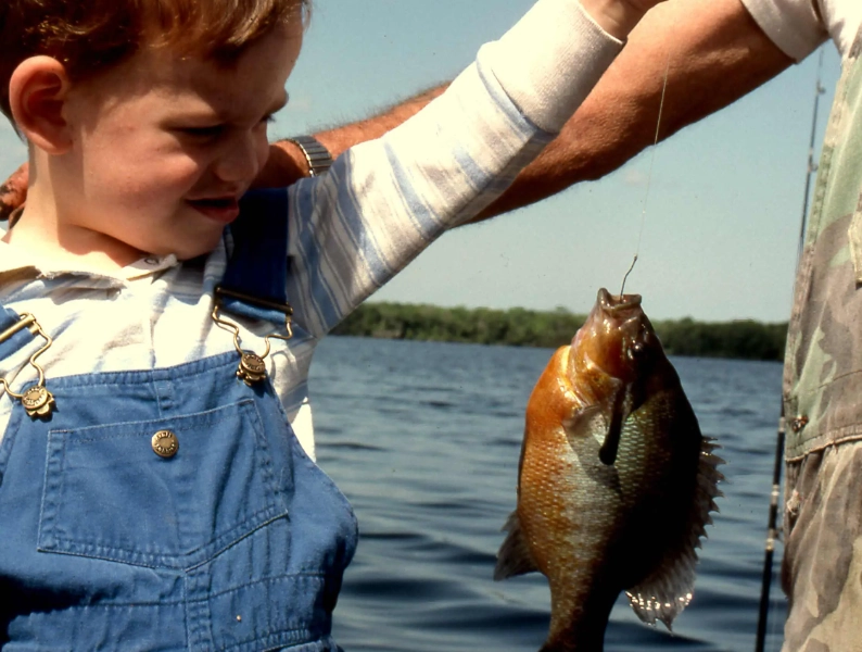 learn how to fish learn how to fish