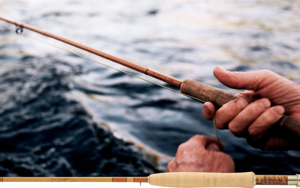 fishing rods for beginners