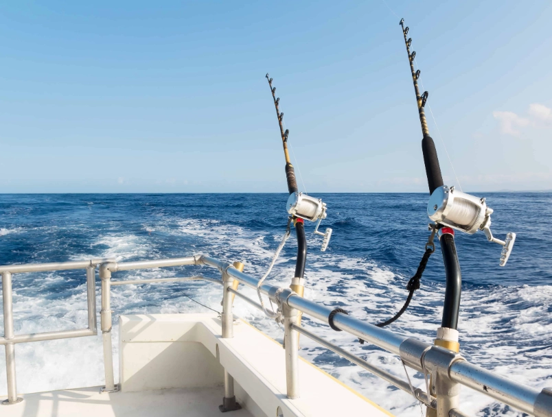deep sea fishing charters