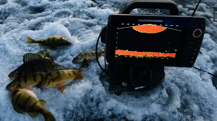 fishing reports fishing reports