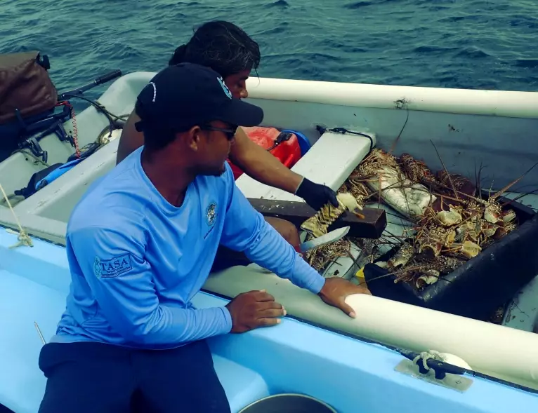 catch limits catch limits