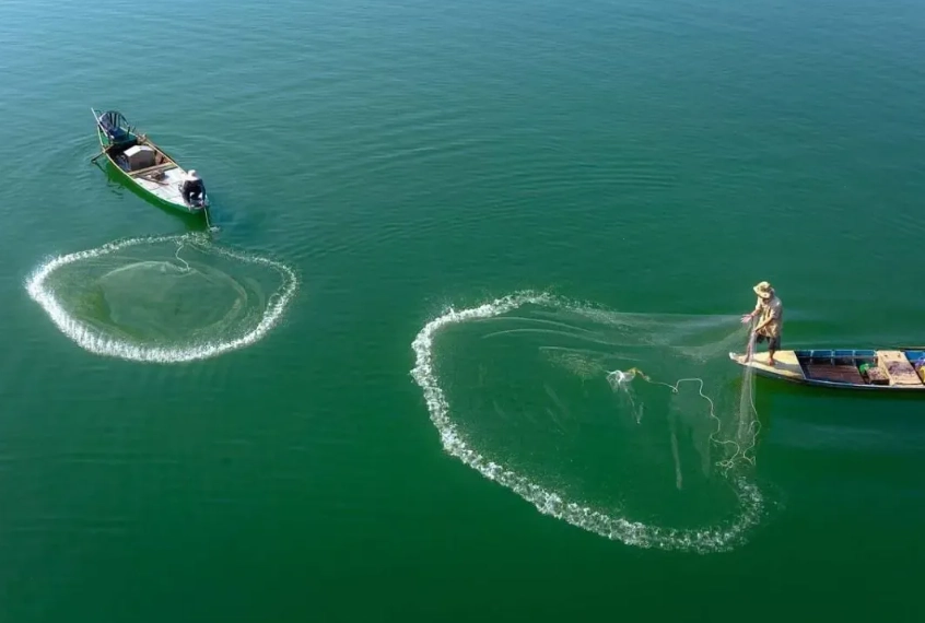 how to choose a fishing net