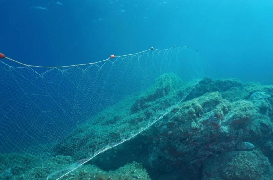 how to choose a fishing net