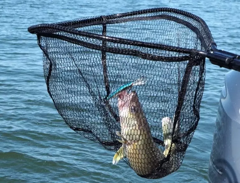 best fishing net material