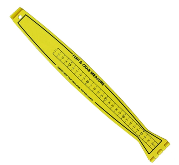 fishing ruler with scale