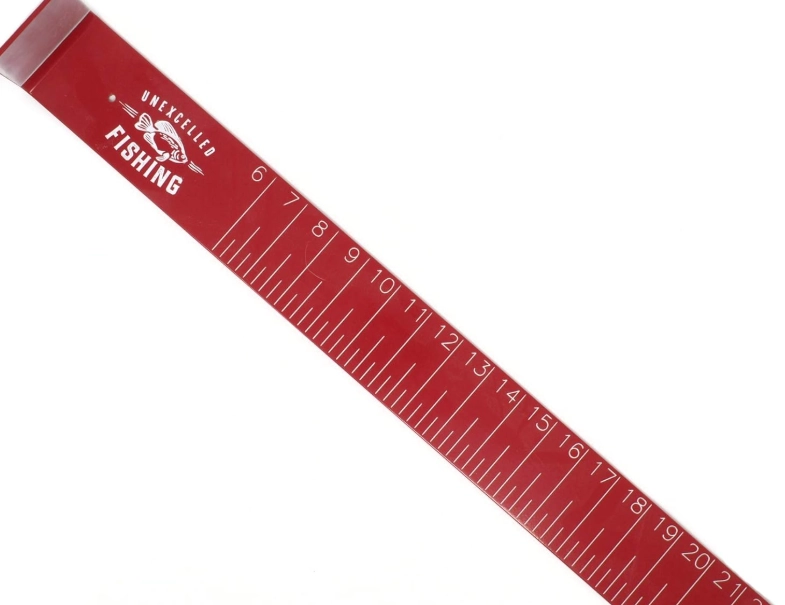 fishing ruler with scale