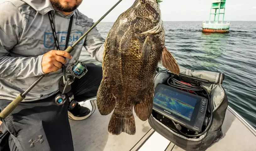 side imaging vs down imaging