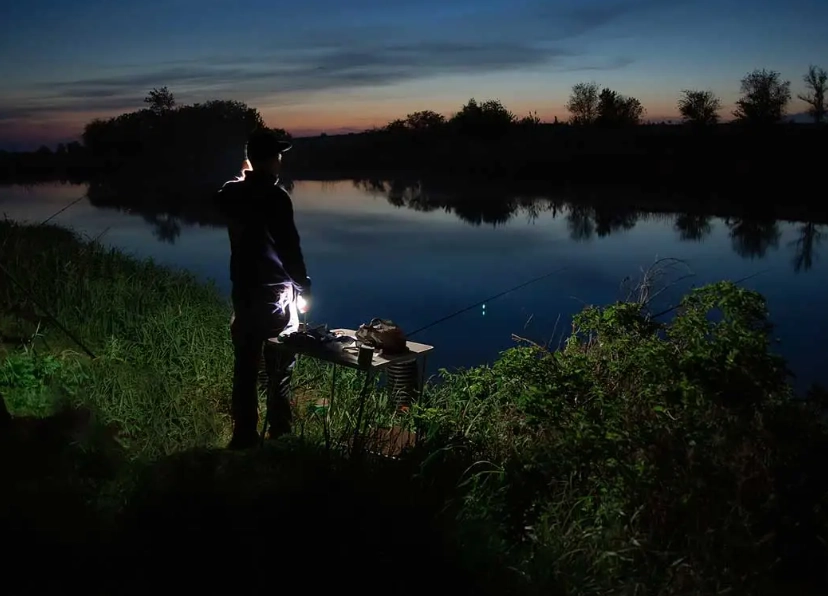 night fishing tips