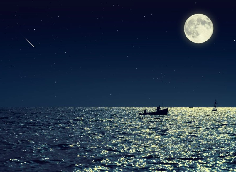 moon phase fishing