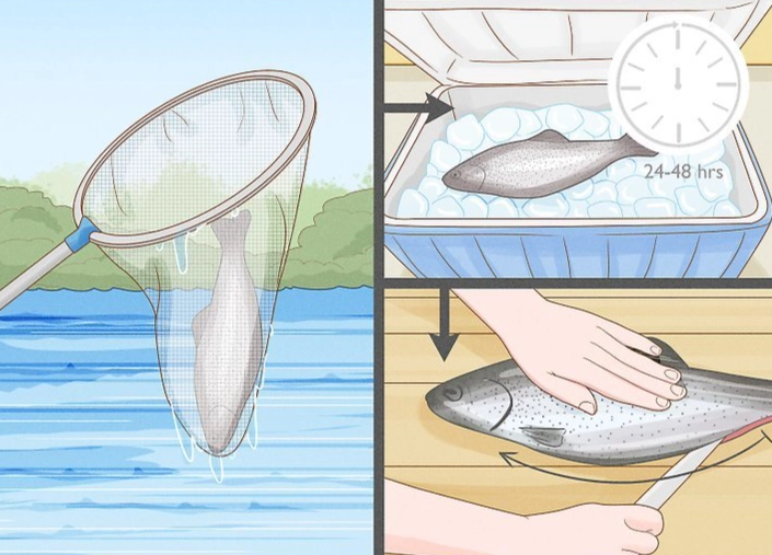 fish cleaning tutorial