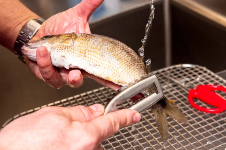 how to clean a fish