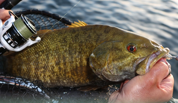 seasonal fishing guide seasonal fishing guide