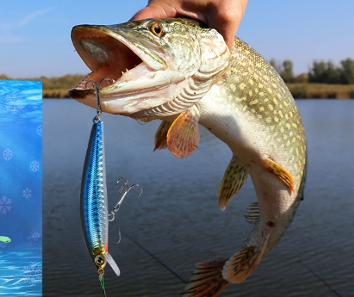 seasonal fishing guide seasonal fishing guide