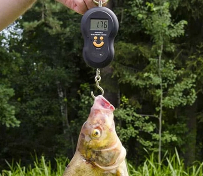 best fishing scale