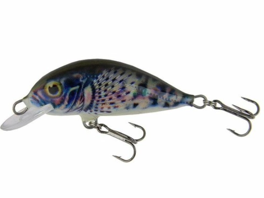 how to fish for trout with lures how to fish for trout with lures