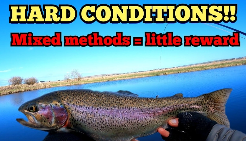 is trout fishing difficult