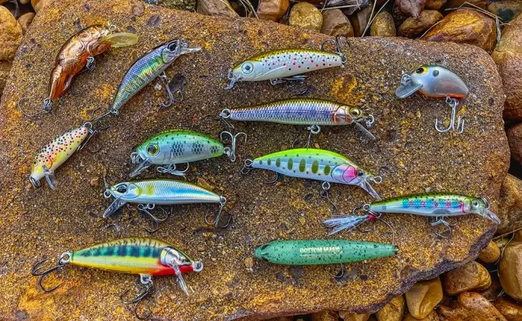 trout fishing bait