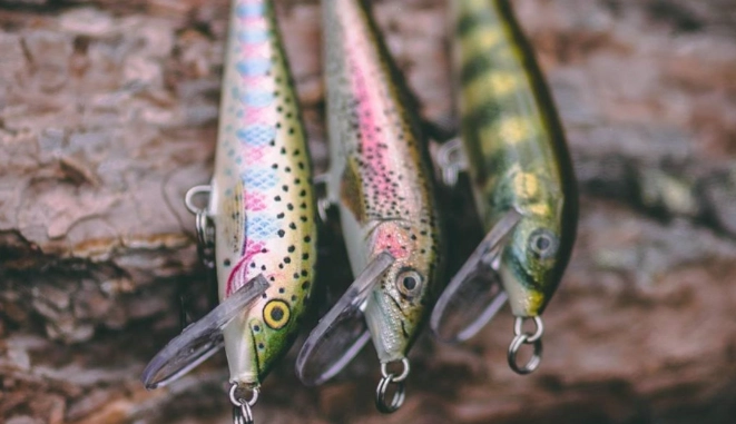 trout lure selection guide