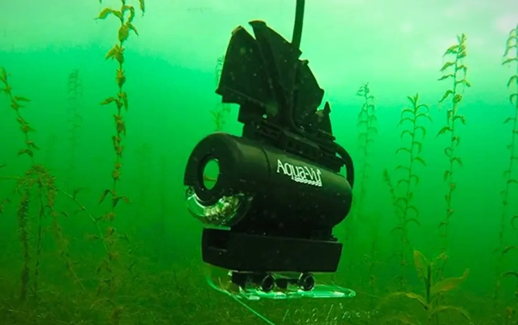 best underwater fishing camera