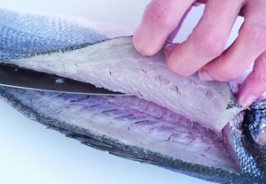 how to fillet a fish