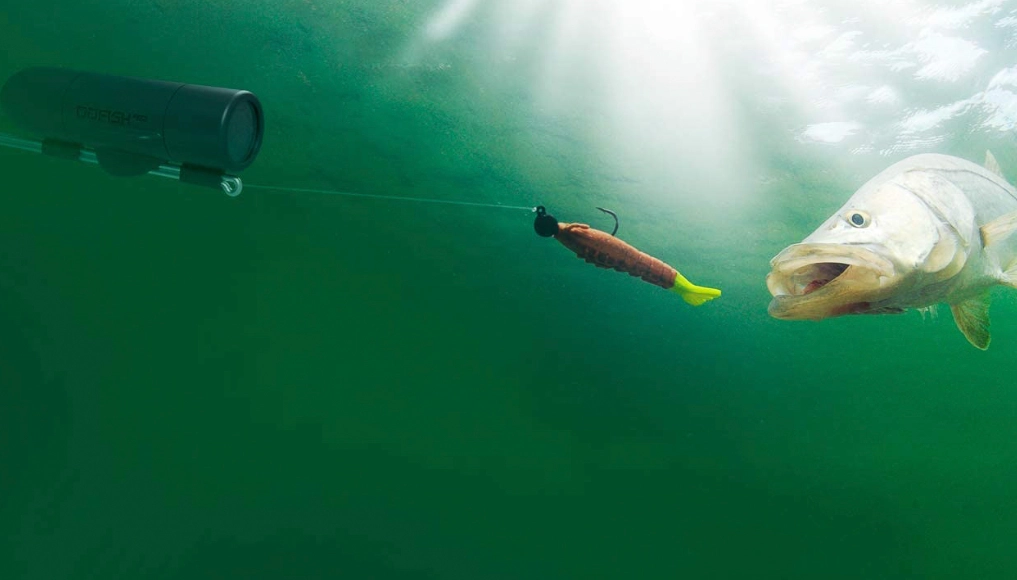 how to use fishing camera