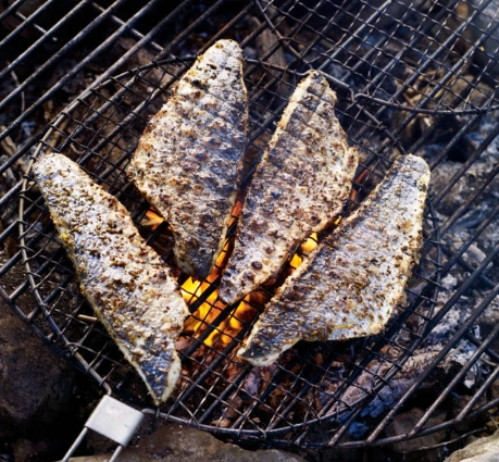how to cook fish on a campfire