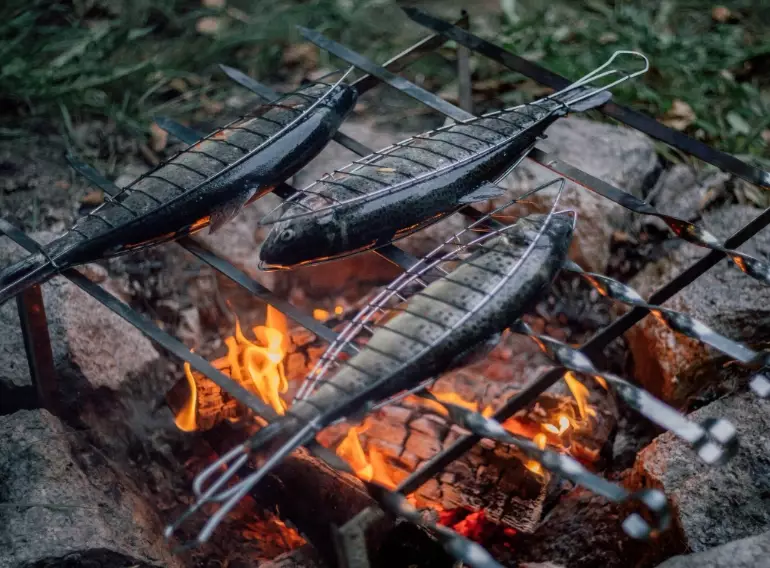 best fish for campfire cooking