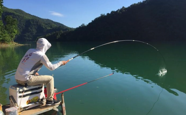 Pareto principle fishing Pareto principle fishing