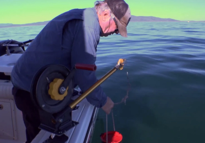 boat fishing for beginners