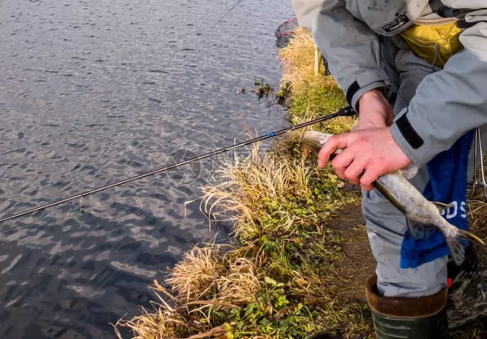 Pareto principle fishing Pareto principle fishing