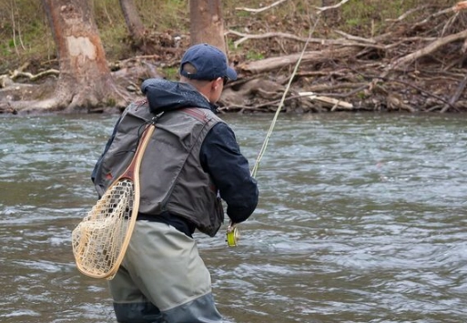 how to catch trout