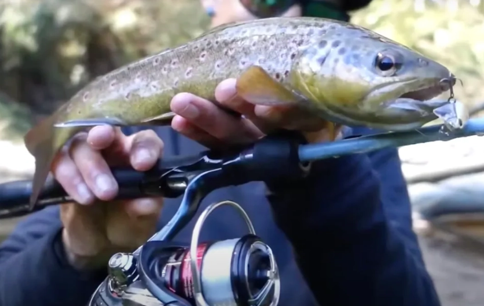 how to fish with lures