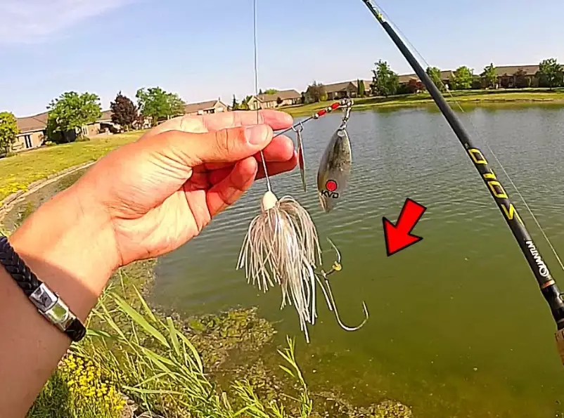 beginner fishing techniques