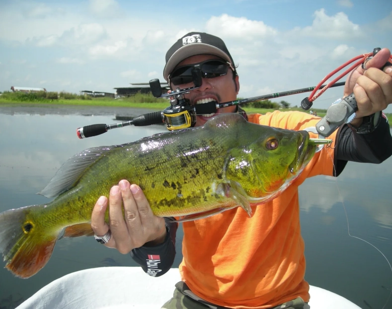 best bass lures best bass lures