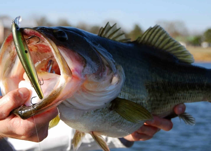 best bass lures best bass lures