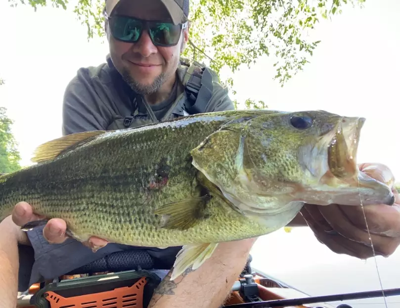 beginner bass fishing tips beginner bass fishing tips