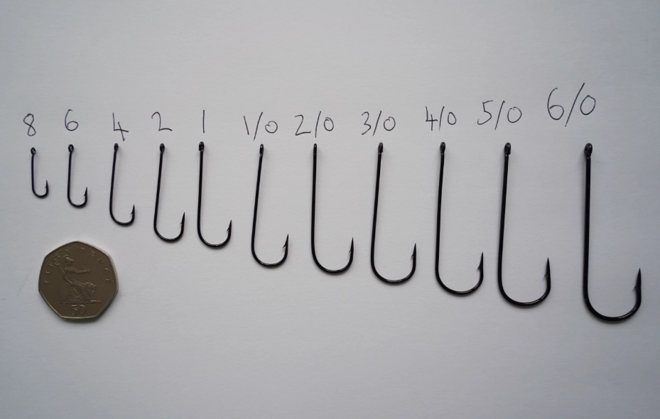 fishing for beginners fishing for beginners