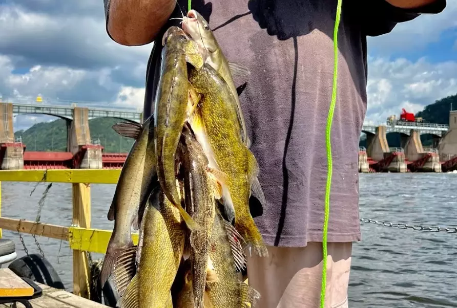 fishing tips fishing tips