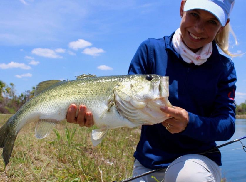 how to catch bass how to catch bass