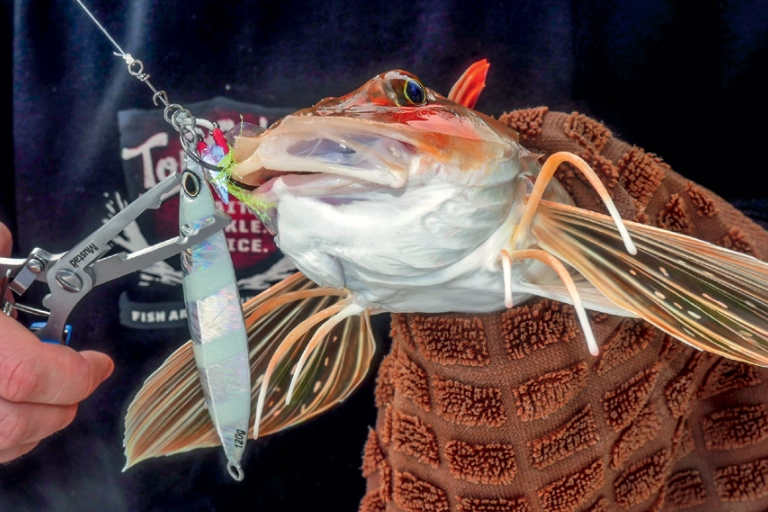 saltwater fishing techniques