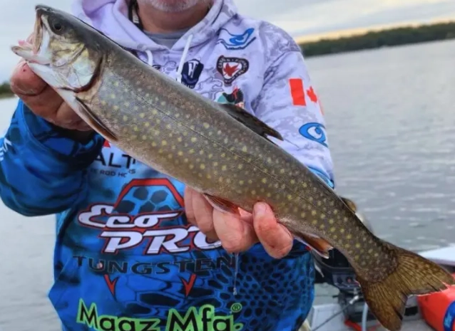 trout fishing for beginners